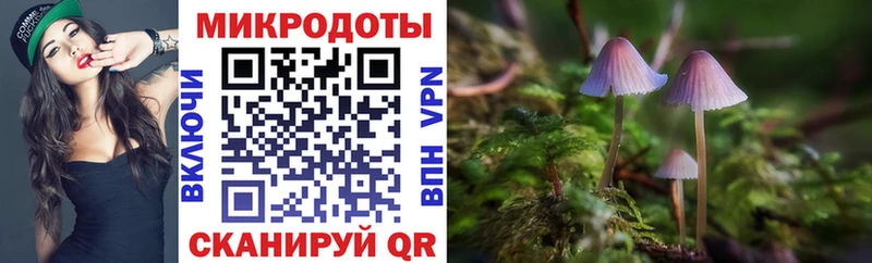 Купить Мариинский Посад Галлюциногенные грибы мухоморы